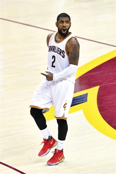 养的最佳证 养的最佳证